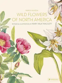 在飛比找誠品線上優惠-Wild Flowers of North America: