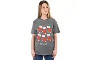 Friends Womens/Ladies Stocking Christmas T-Shirt (Grey/Red/White) - UTNS6653