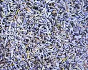 Lavender Flowers Buds - Lavandula angustifolia - Organic Dried Apothecary Wicca