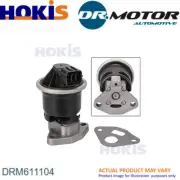 EGR VALVE FOR FIAT DUCATO/Bus/Van/Platform/Chassis F1AGL411M/F1AE3481D 2.3L