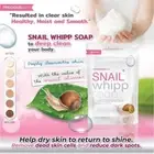 Snail Whipp Soap Original Bar Soap w Delicate Net 120g x3 bars FREE SHIPPING