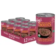 Organic Dal Makhani Soup 14.2 Oz, 12 Pack - Vegan, Gluten-Free, Ready-to-Eat