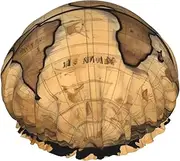 Ancient Map World Globe Print Shower Cap For Women Men Reusable Lightweight Soft Bath Hair Cap With Elastic Band