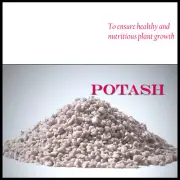 POTASH ORGANIC Granular Sulphate of Potash Soluble Fertiliser Premium Quality