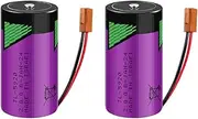 HOUYIBO 2PCS TL-5920 Household Batteries 3.6V 8500mAh High Capacity Non-Rechargeable Disposable Lithium Battery with Brown Plug
