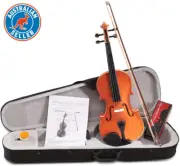 4/4 Full Size Acoustic Violin Wooden Natural W/Carry Bag Bow Rosin Strings Begin