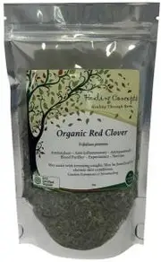 HEALING CONCEPTS Organic Red Clover 30g