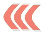 Walker Red Liner Sensi-Tak Tape AA Contour Tape 216 Pc for Wig,Toupee Hairpiece