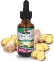 Nature's Answer Ginger Root with Organic Alcohol, 1-Fluid Ounce