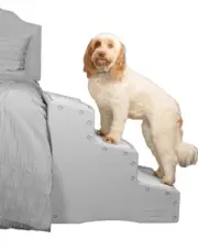 Pet Gear Easy Step III Pet Stairs, 3 Step for Cats/Dogs, Pets Up to 150 Lbs Grey