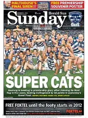 Geelong cats team poster, AFL FOOTBALL,Premiers DOGS,CROWS BOOK,pies, blues, 1