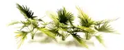 TROPICAL JUNGLE PLANTS MODEL SET 1/35 SCALE. #TPV-047