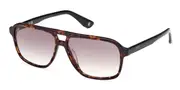 BMW BW0039 52P Men's Sunglasses Tortoiseshell Size 58