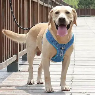 狗狗胸背帶 胸背帶 中大型犬胸背帶 大狗胸背帶 狗牽繩胸背帶 寵物胸背帶 牽引繩 防暴衝