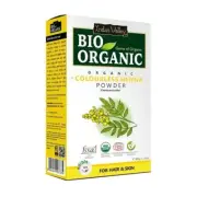 INDUS VALLEY 100% Natural Colourless Henna powder 100g