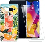 Printed TPU Case + 2-Pack Tempered Glass Screen Protector Compatible with LG V40 ThinQ, Artistic Slim Shockproof Cover, Anti-Scratch, Full Protection