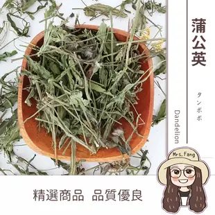 【日生元】 台灣 蒲公英 天然草本植物 浦公英茶 (9.2折)