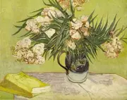 Oleanders