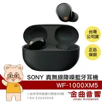 在飛比找樂天市場購物網優惠-Sony 索尼 WF-1000XM5 黑色 降噪 IPX4 