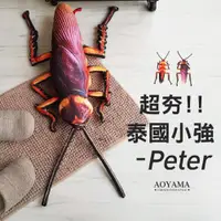 在飛比找蝦皮商城優惠-泰國正品 網路爆紅 PETER巨型蟑螂抱枕【CBKLF001