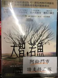 在飛比找Yahoo!奇摩拍賣優惠-巧婷@118410 DVD 伊旺麥奎格【大智若魚】全賣場台灣