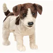 Jack Russell Terrier Hand Puppet, Smooth Coat