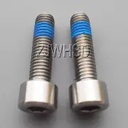 2pcs M8 x 30 mm Titanium Ti Screw Bolt Allen Hex Socket Cap Head + Thread Locker