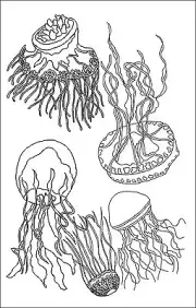 Rug Hooking Pattern " FIVE JELLY FISH" on natural linen