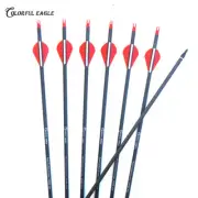 Archery 28/30/31 Inch Pure Carbon Arrows SP300 400 Recurve Compound Bow Hunting
