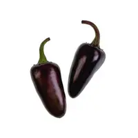 在飛比找蝦皮購物優惠-稀有品種紫墨西哥辣椒種子(小辣)~