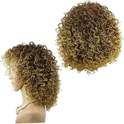 NULYLU Womens Wig Wig Brown Curly Wig Short Mixed Synthetic Cosplay for Daily Use