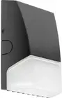RAB LED WALL LIGHT 1,919 LUMENS 5,000K 14 WATTS BRISKS17L