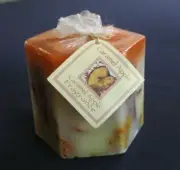 Hot Wax Candle Co. Carmel Apple Candle Embedded With Cinnamon Sticks - NEW!!!!