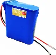 HJGHY 12V 2600mAh Rechargeable Lithium Battery 12V Portable Bare Leads Wire Replacement Li-ion Battery with Charger for RC Car/Robot 31.2W Motor Kits,Bullet Head 12v2.6ah