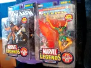 Marvel Legends Wolverine and Phoenix Series VI 2004