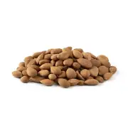 Organic Bitter Apricot Kernels | Raw and Unpasteurized | Non-GMO and No Added...