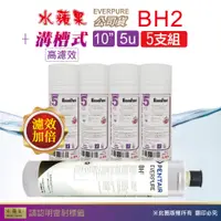 在飛比找PChome24h購物優惠-【水蘋果】效能版10英吋5微米PP濾心+水蘋果公司貨BH2濾