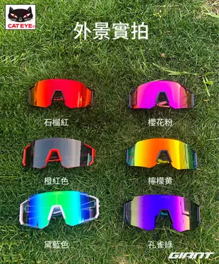 2020新品 CATEYE A.R. II 偏光太陽眼鏡 戶外運動/騎車/跑步/登山 男女皆適宜 抗UV400 公司貨