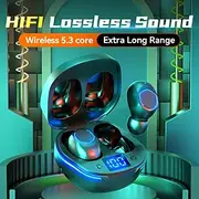 Wireless Bluetooth Earbuds TWS Headphones with LED Power Display in-Ear Stereo Earphones with Microphone