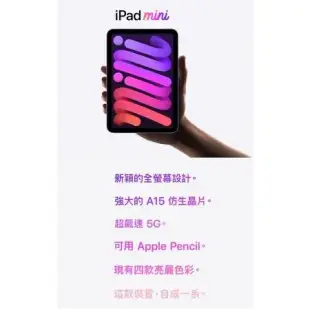 Apple iPad mini 6 8.3吋 256GB WiFi 平板電腦 _ 台灣公司貨 (2021) +贈