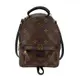 LV M44873 Palm Springs Monogram 經典帆布迷你後背包(黑色)