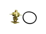 For 1974-1981 Volkswagen Dasher Thermostat 47561WYRB 1975 1976 1977 1978 1979 (for: Volkswagen)