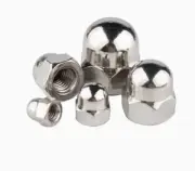 316 Stainless Steel Hex Cap Nuts Hex Acorn Nuts M3 M4 M5 M6 M8 M10 M12 M16 M24
