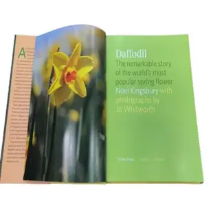 Daffodil: The remarkable story of the worlds most popular spring flower