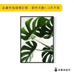 【菠蘿選畫所】神采飛揚－龜背竹-42X60CM(北歐/攝影/客廳掛畫/複製畫/居家裝飾/餐廳佈置/牆壁裝飾)