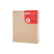 2pc Artitude Canvas Panel Board Thick 16x20" Painting/Drawing Artist Accessory