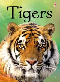 在飛比找三民網路書店優惠-Usborne Beginners: Tigers