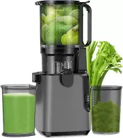 Juicer Machines with 6.1" Extra Large Feed Chute, Cold Press Juicer for Whole Ve