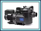Fluidra Astral XP 1.5hp Pool Pump 240V Single Phase BX 1.5Hp pool pump
