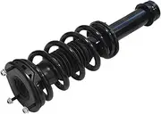 RZXCM 1PC Front/Rear Coil Spring Shock Absorber Assembly Compatible for Tesla Model S AWD 2015 2016 2017 2018 2019 1030607-01-A 1030607-00-C 1015620-03-D(Front Left)